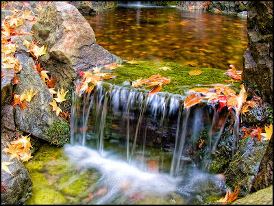 autumn photography tutorial