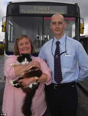 Casper, kucing yang hobi naik bus di Inggris