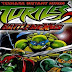 TMNT 2 Battle Nexus PC Game Free Download