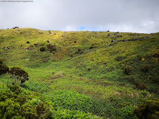 PORTUGAL / Furnas do Enxofre, Ilha Terceira, Açores, Portugal