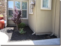2 Right side after clean up
