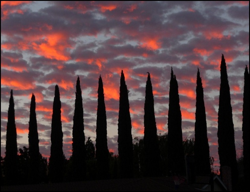 sunrise 006 (800x600)