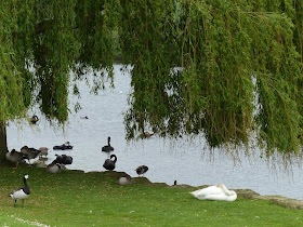 jardin du Château de Leeds