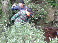 Merinding! Hilang Dan Ditemukan Telah Meninggal Di Gunung Merbabu! Saat Ditemukan Semua Terkejut Karena Jasad Pendaki Dari Slovakia Dijaga Oleh Kawanan Hewan Ini!