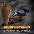 25+ गौरैया के रोचक तथ्य , Sparrow in hindi - Hindivigyan.in