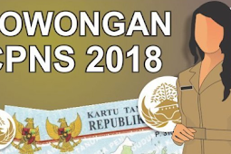 CPNS 2018 Sudah Dekat BKN Sudah Rapat Persiapan Dokumen 