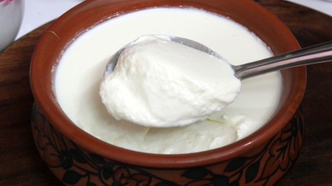 Market Style Curd At Home- Creamy Thick Homemade Curd.