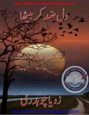 Dil zid kar betha novel online reading by Zoya Ch Complete