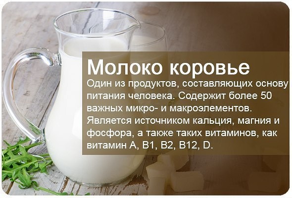 О пользе молочных продуктов