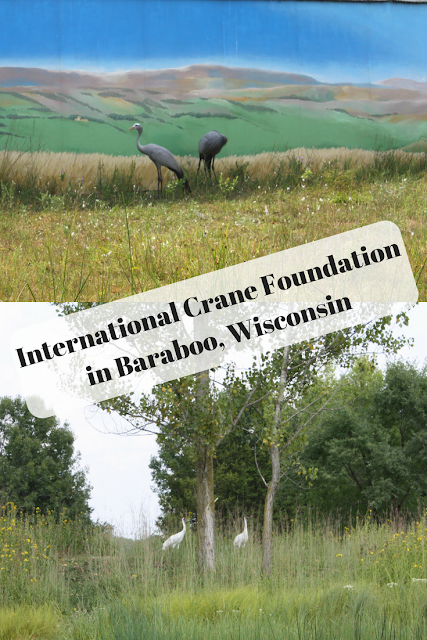 Conservation in Action at the International Crane Foundation in Baraboo, Wisconsin Saving Cranes Worldwide