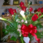 View album