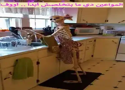 ست بيت على شكل هيكل عظمي يغسل المواعين التي لا تنتهي