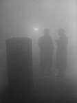 Pea souper