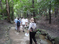 樹木の中を小川の道を行く・・・