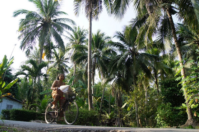 Vietnam's Coconut Kingdom 