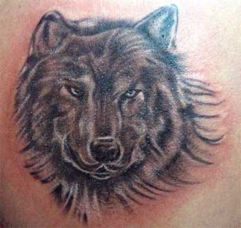 Wolf Tattoo