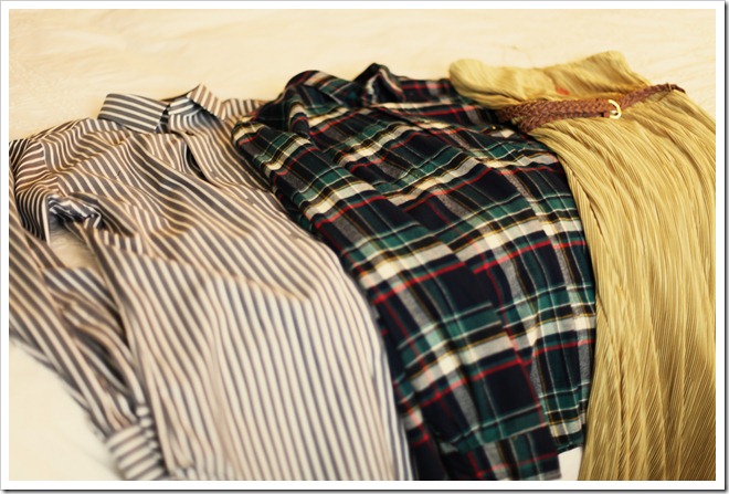 stripes or plaid 037-1