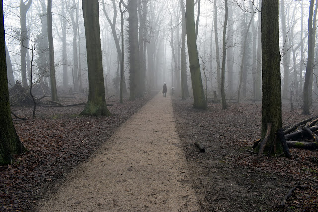 person walking on a misty path in the woods