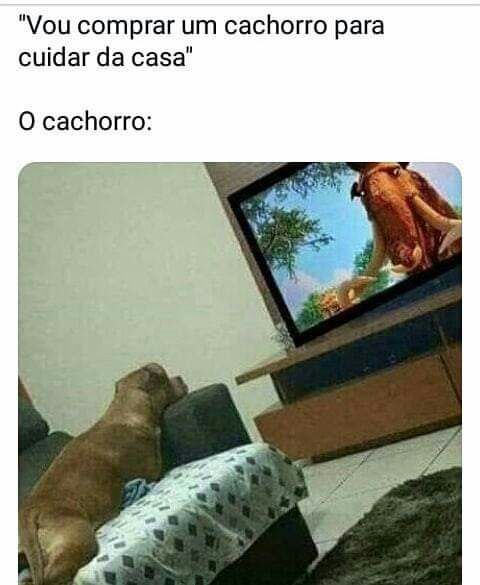 Rir é o melhor remédio: 40 memes para alegrar o seu dia!