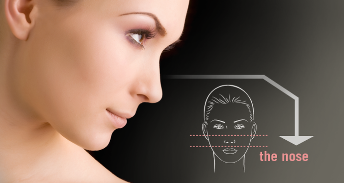 http://reconfaceindia.com/cosmetic-rhinoplasties.php