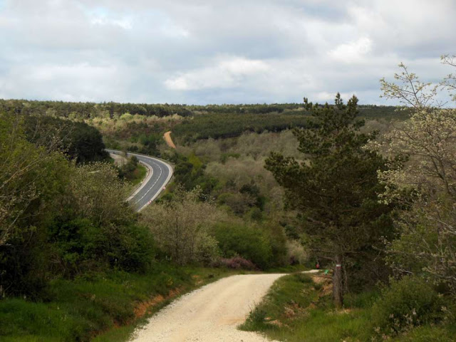 Alto de la Pedraja , Montes de Oca, Camino, Jola Stępień