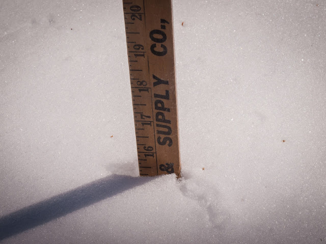 more than 15 inches of snow