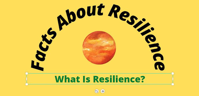 Facts of resilience