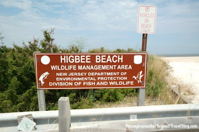 Higbee Beach in Cape May New Jersey