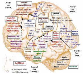 Atlas Cerebral Interactivo