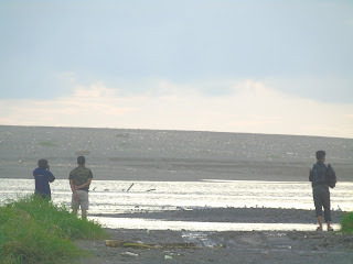 Asian Waterbird Census di Delta Sungai Progo, Yogyakarta