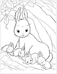 Cute Bunny Coloring Pages Printable PDF