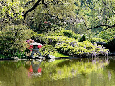 Keindahan Pepohon Merimbun di Taman Bunga