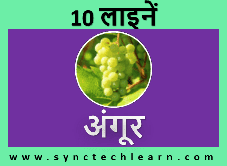 angoor par 10 lines - Grapes Hindi