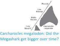 http://sciencythoughts.blogspot.co.uk/2015/07/carcharocles-megalodon-did-megashark.html