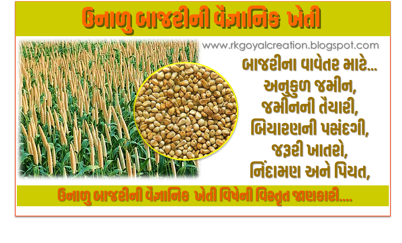 Millet Cultivation