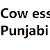 Cow essay in Punjabi ਗਾਂ ਤੇ ਲੇਖ ਰਚਨਾ 