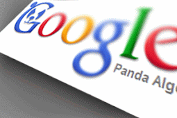 Blog Original Juga Bisa kena Amukan Google Panda