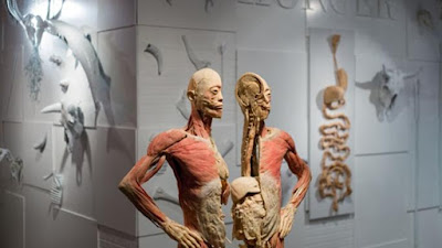 REAL BODIES THE EXHIBITION