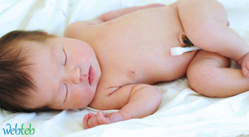 Cord blood: Important questions and answers