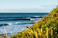 Lineup (Foto: Aaron Hughes)