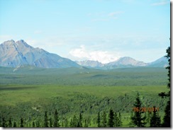IMG_9610