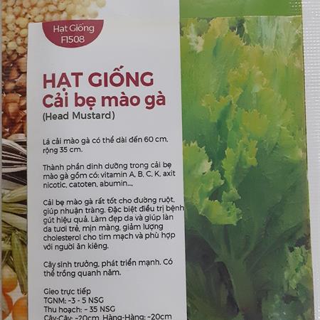 Hạt giống Cải bẹ mào gà 753AQ