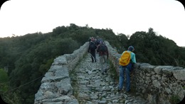 Nº  (10)