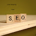  Link Velocity and SEO