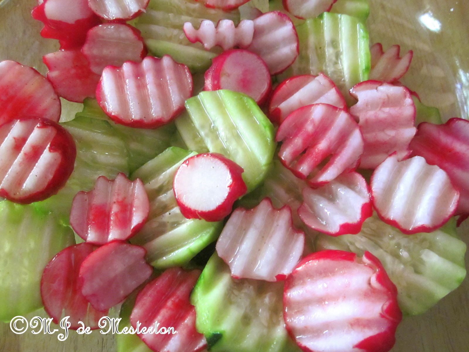 black and red harley Elegant Radishes and Cucumbers