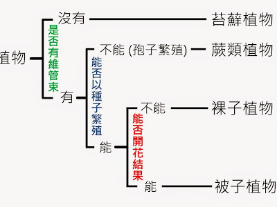 植物 分類 141364-植物分類系統