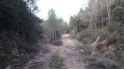 PR-C-224 La Bisbal del Penedès a Sant Magí de la Brufaganya, pujada al Coll del Llop i Rasa d'Esplugues