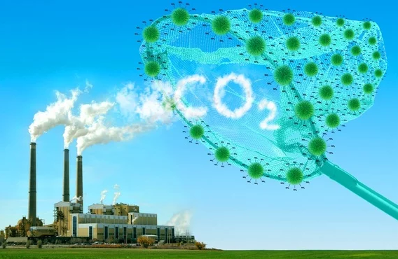 Una solución para quitar el Co2 del planeta