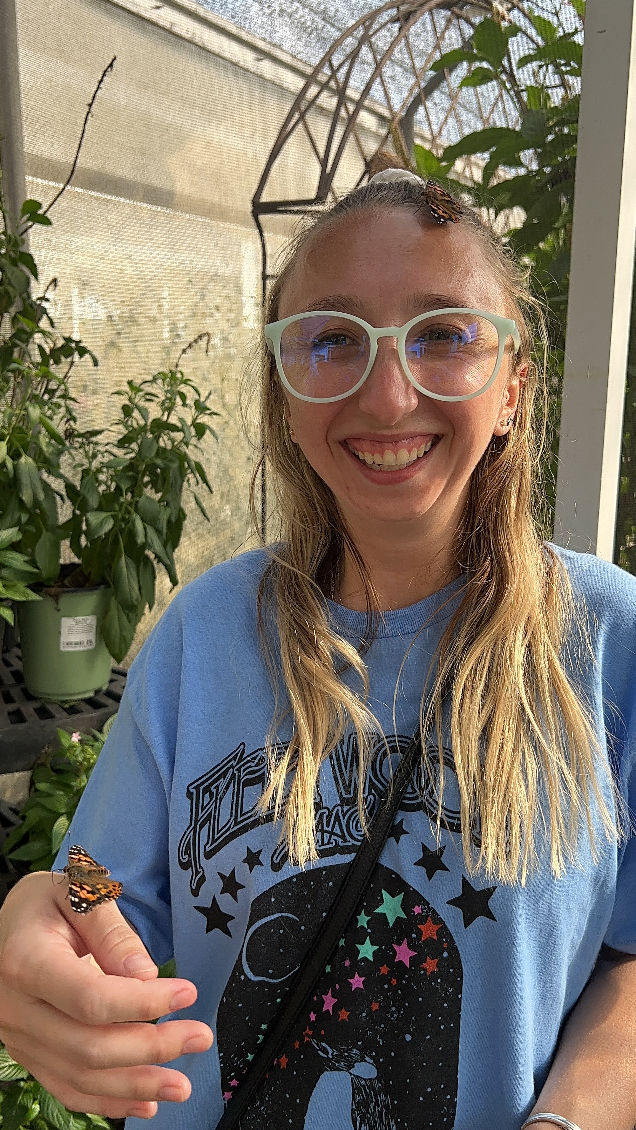 Butterfly Encounter at Lukas Nursery