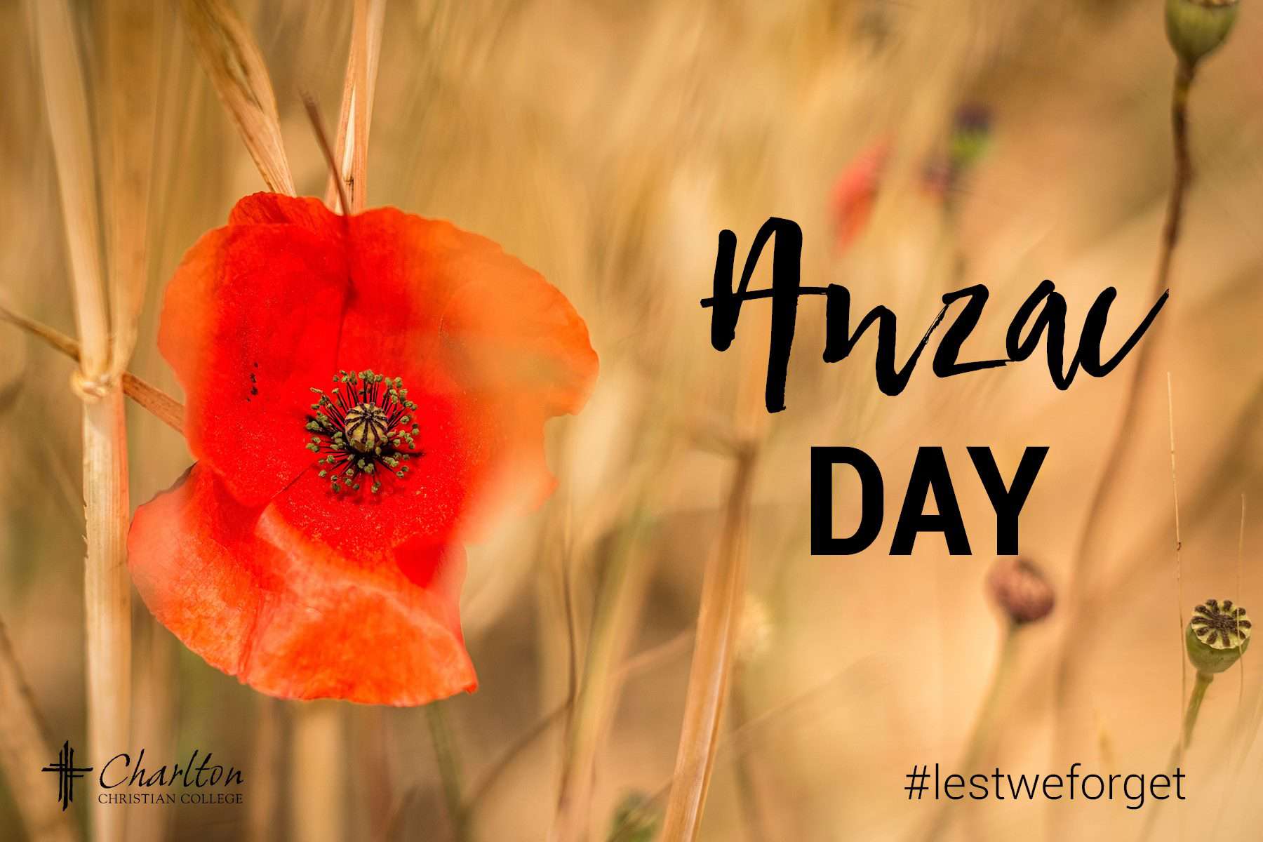 Anzac Day Wishes Pics